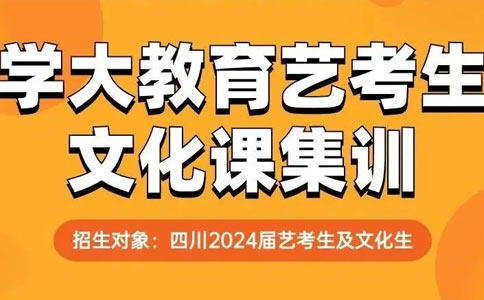学大教育艺考文化课